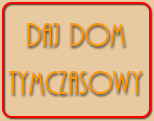 Przyjaciele forum