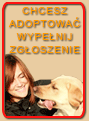 Zg�oszenie